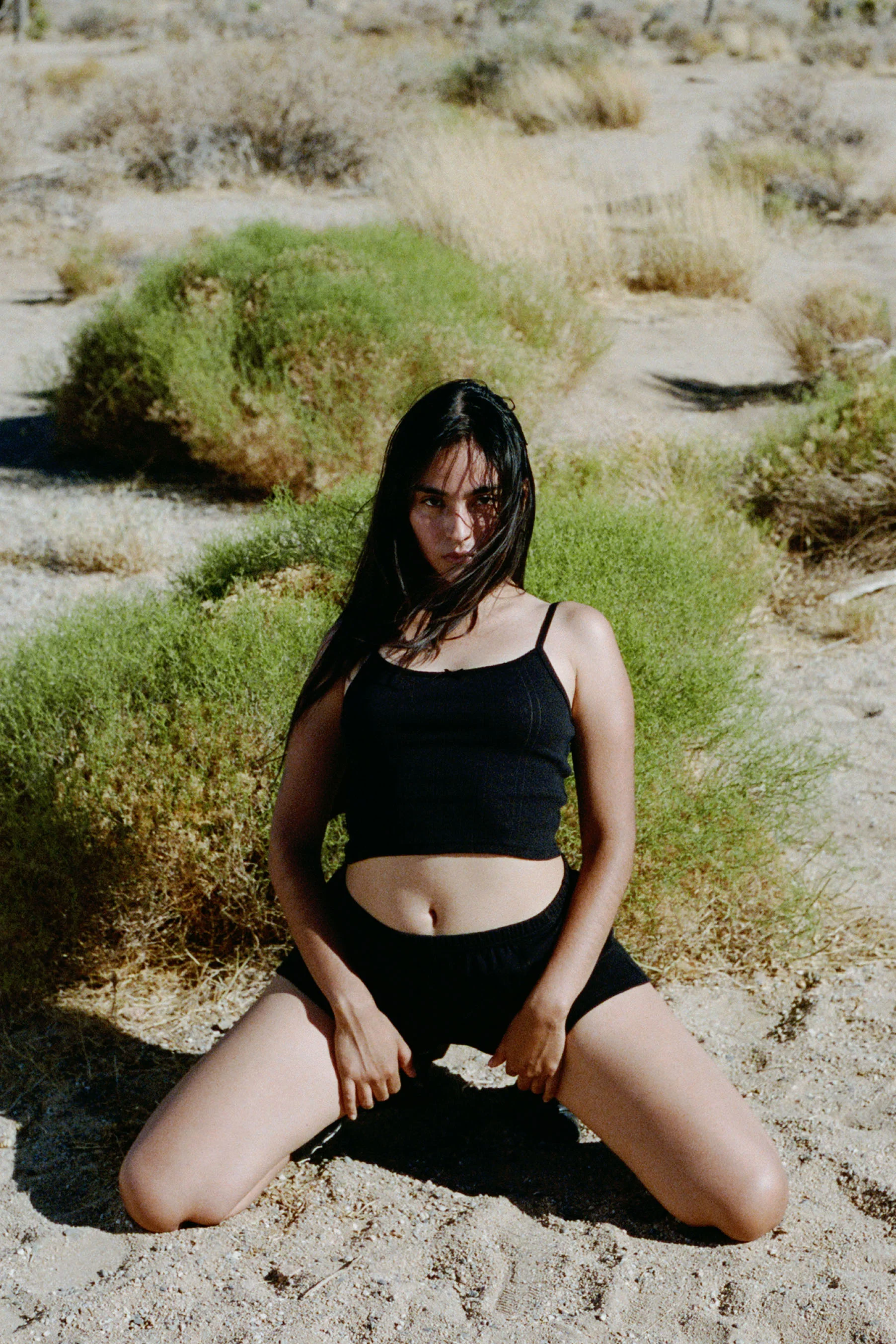 The Short 2 Pack - Image 9